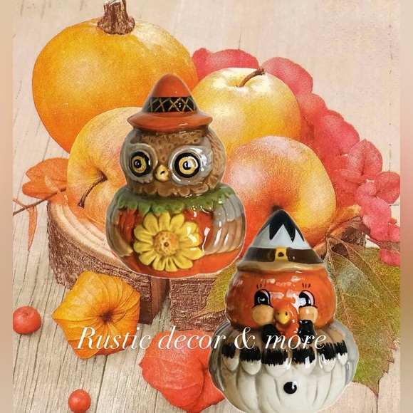 Johanna Parker Turkey and Owl Salt and Pepper Shaker Set - Picture 1 of 3